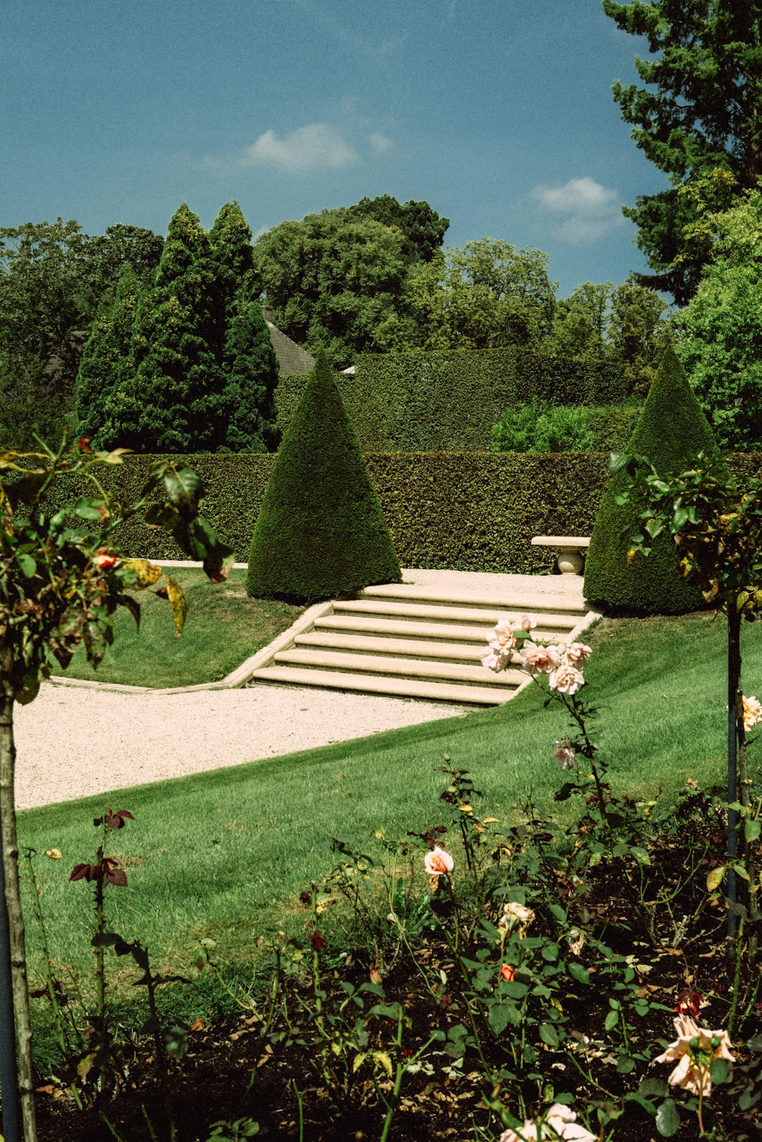 Manikürter Garten mit Formgehölzen und Steinstufen