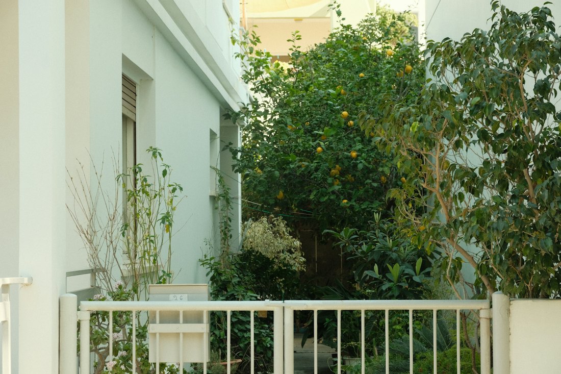 Üppiger Garten hinter einem natürlichen Sichtschutz