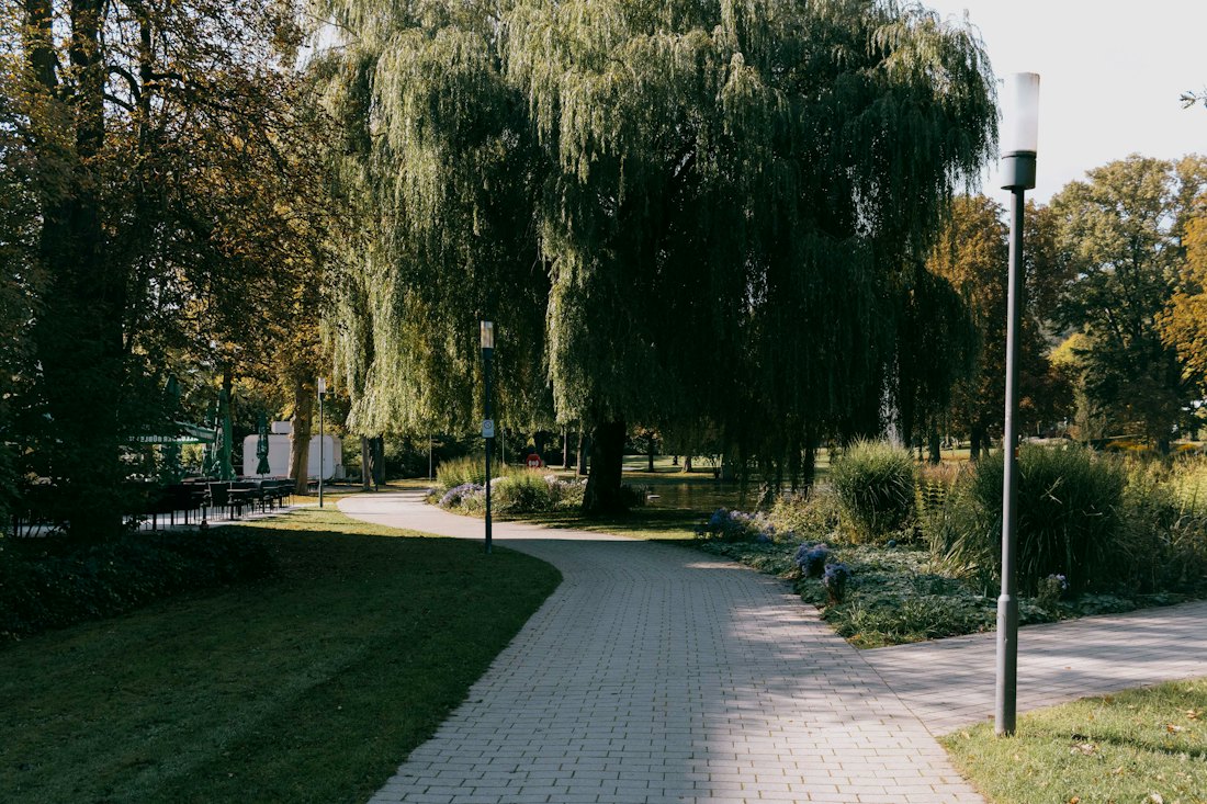 Gepflästeter Weg durch eine grüne Parkanlage