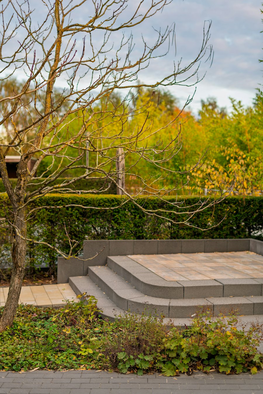 Terrassenbereich mit Naturstein und gepflästertem Vorplatz